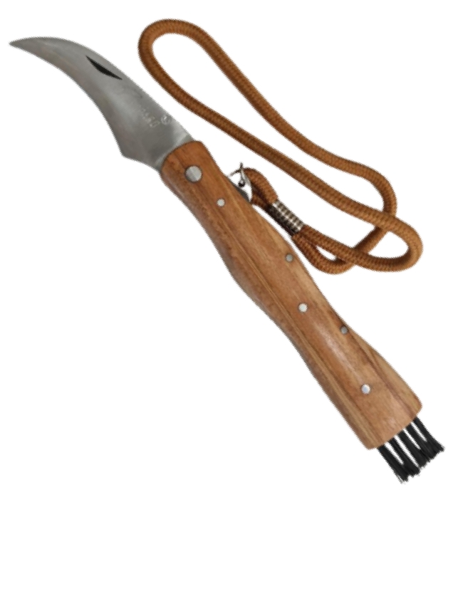 Couteau à champignon avec brosse et cordon – Image 3