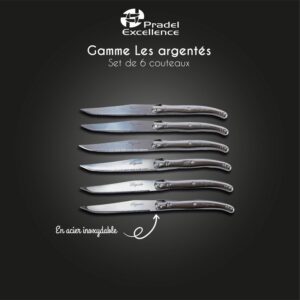 Coffret de 6 couteaux de table Laguiole