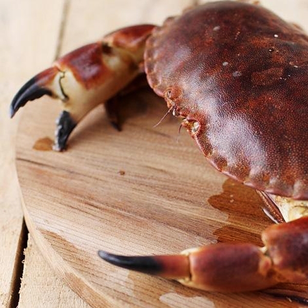 Curettes à homard crustacés lot de 6 en inox – Image 2