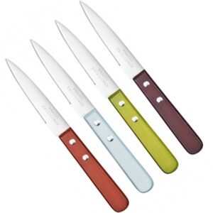 Couteaux office x 4 manches en bois colorés