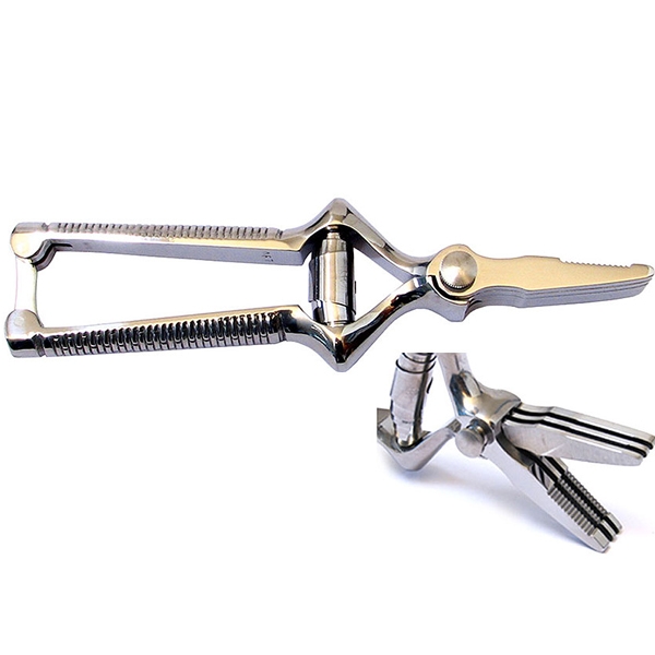 Masticateur droit 18 cm en acier chromé – Image 2